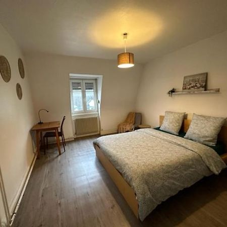 Beau F3 - Proche Gare Apartment Mulhouse Luaran gambar