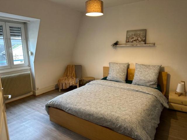 Beau F3 - Proche Gare Apartment Mulhouse Luaran gambar