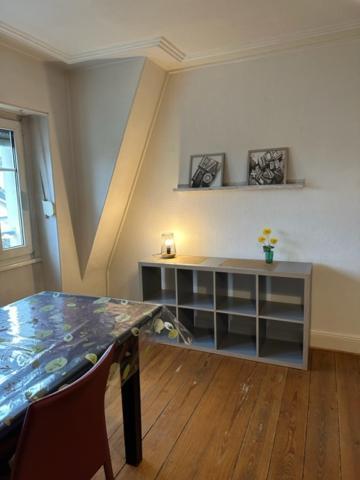 Beau F3 - Proche Gare Apartment Mulhouse Luaran gambar